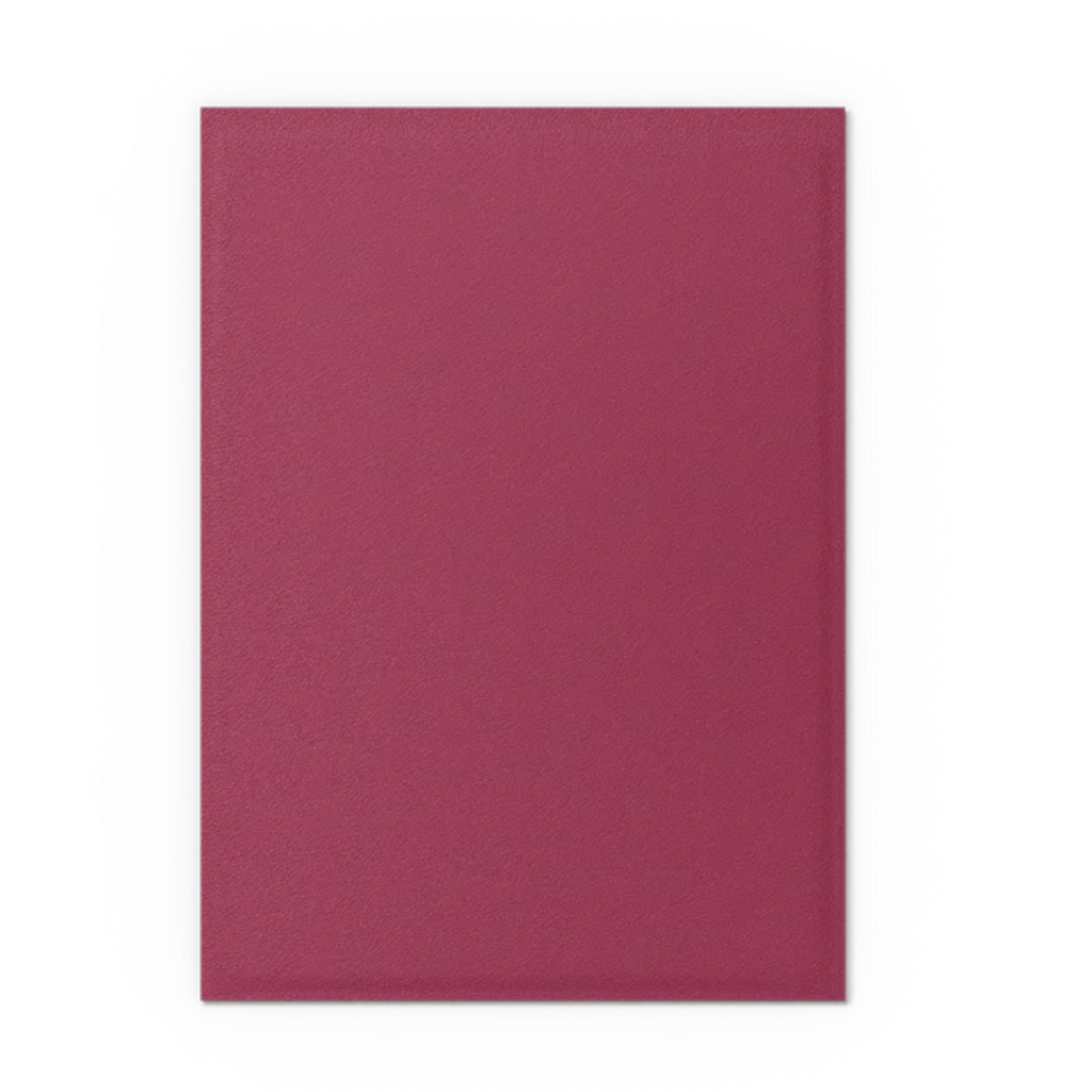 Micas Dragon Shield Standard Dual Matte Pomegranate/Gold 100ct