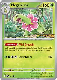 Pokemon Mega Evolucion mini deck