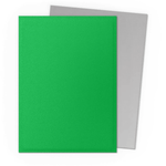 Micas Dragon Shield Standard Dual Matte Apple Green & Silver 100ct - Victory Road TCG